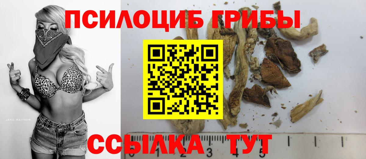 купить  сайты  Галлюциногенные грибы GOLDEN TEACHER  Вход с VPN  Выкса 